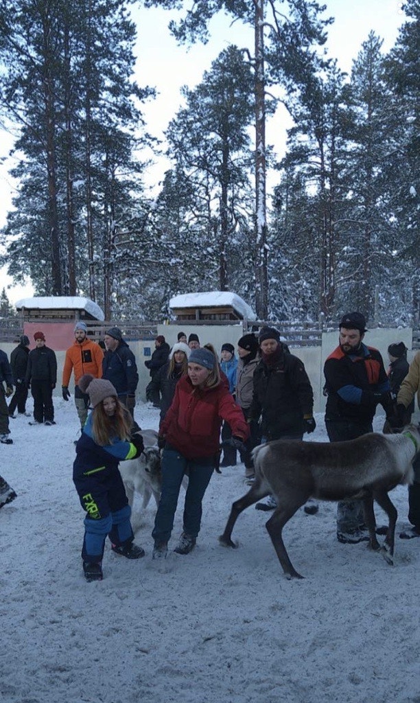 Renskiljning pågår i Ruvhten sijte. Foto: Ingvar Labj. 