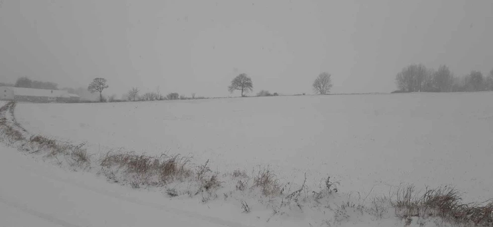Snöoväder i södra och mellersta Sverige | SVT Nyheter