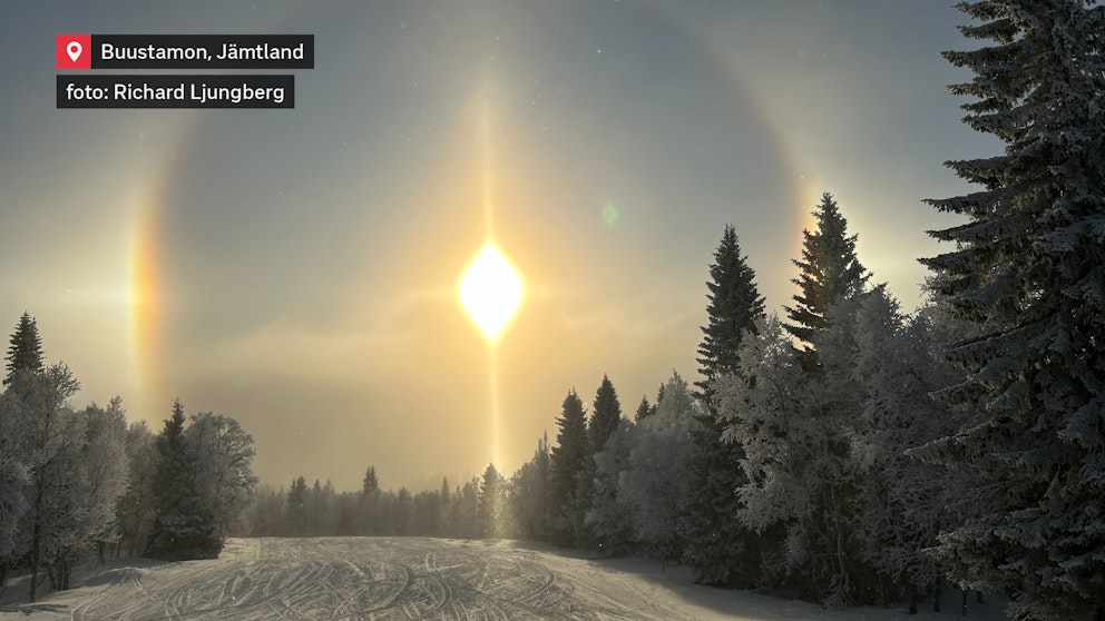 Solhalos lyser över snötäckta träd och ett vinterlandskap i Buustamon, Jämtland.