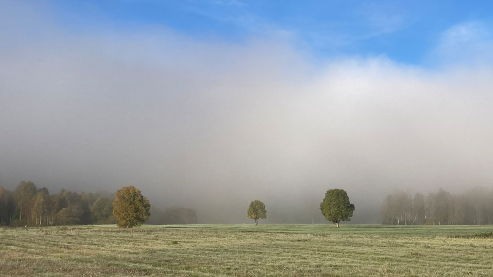 Sysslebäck, Värmland den 29/9. Foto: Bengt-Åke Danielsson