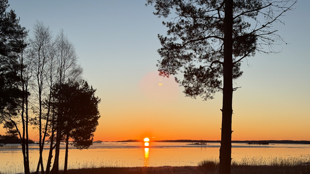 Vita sannar, Dalsland den 18/2. Foto: Göran Andersson