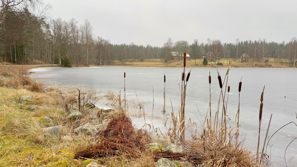 Lindefall, Småland den 4/2. Foto: Pia Edling