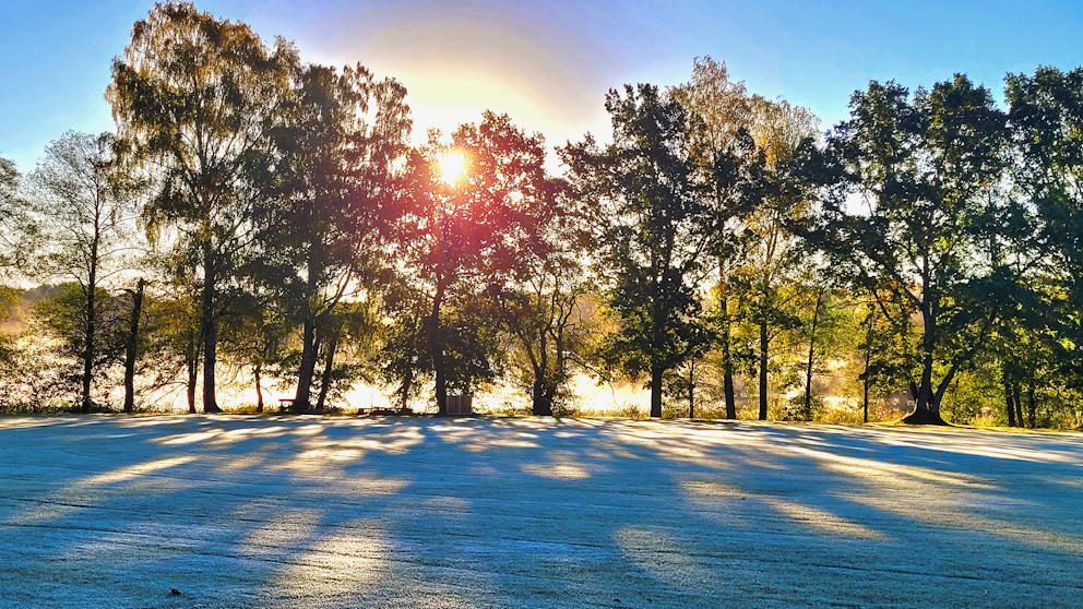 Borås, Västergötland den 29/9. Foto: Anne-Liis Bergendal