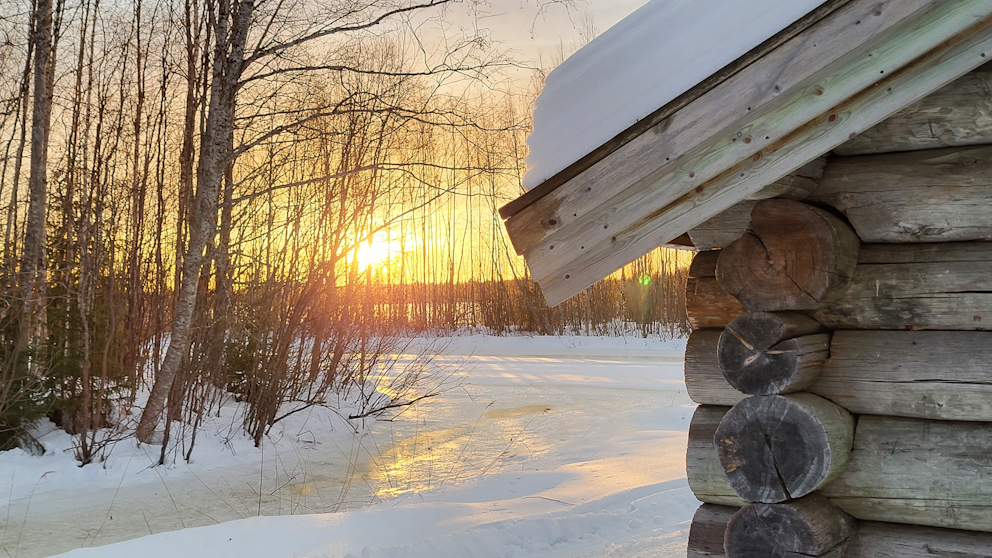 Stackgrönnan, Västerbotten den 27/12. Foto: Carin Feldt