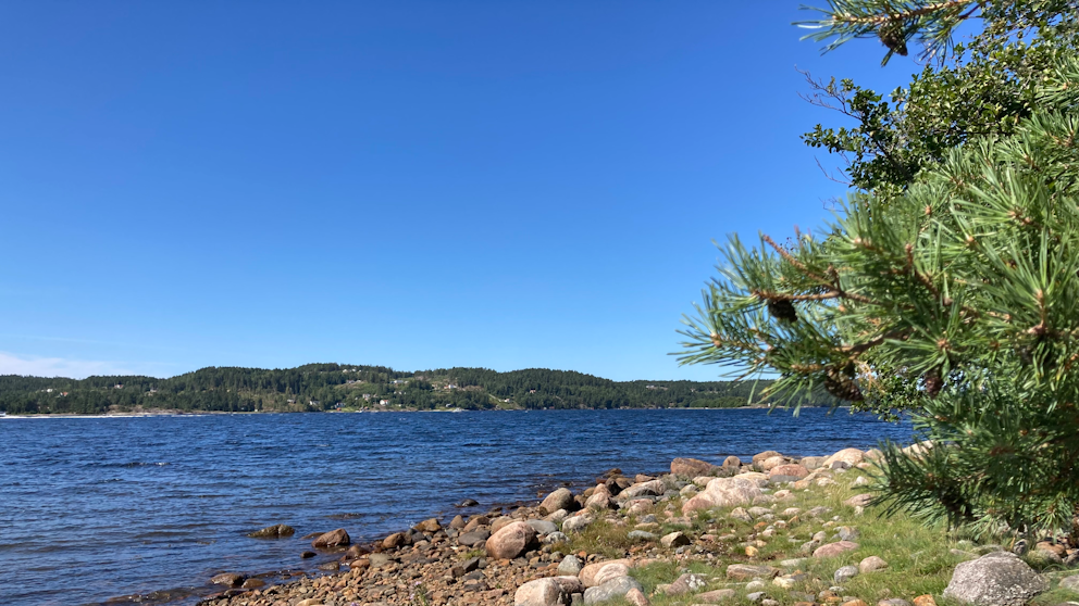 Strandön, Ljungskile, Bohuslän den 31/7. Foto: Susanne Hermansson