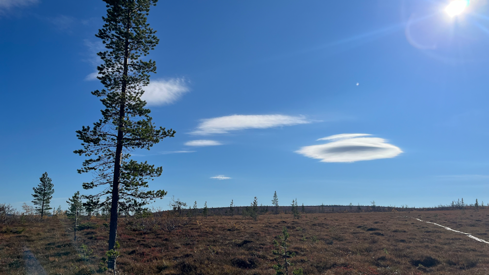 Storhogna, Jämtland den 20/9. Foto: Peter Roth