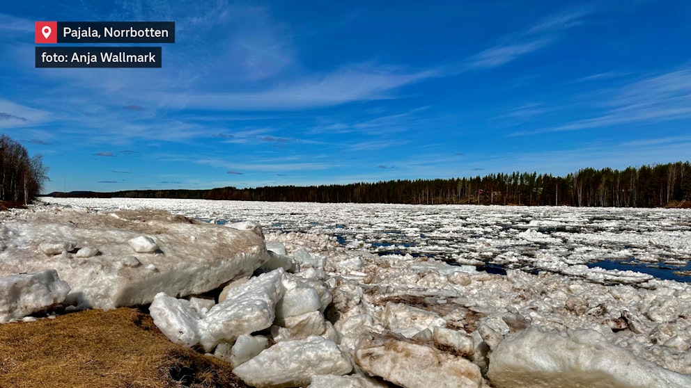 Isblock ligger likt stenar längs Torne Älvs strand.