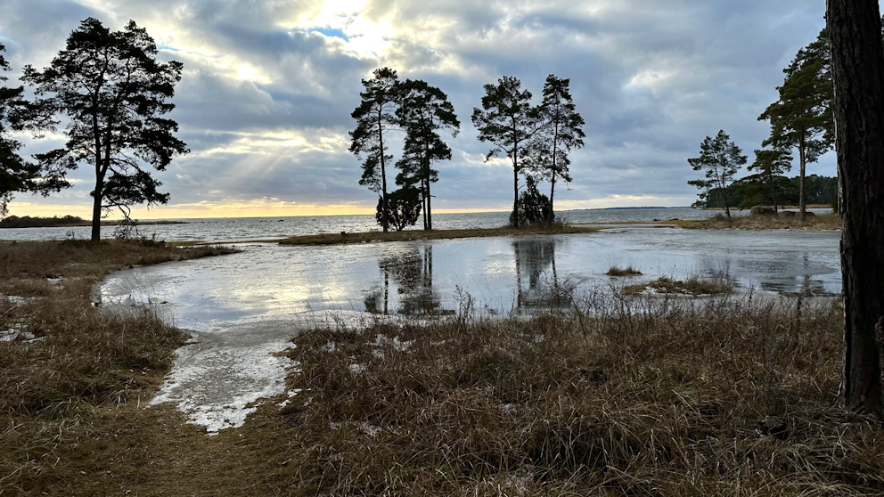 Oknö, Småland den 7/1. Foto: Anne Beinsen