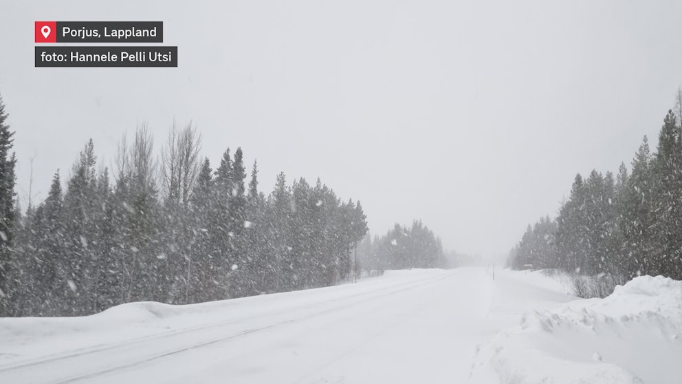 Snötäckt väg i Porjus, Lappland, omgiven av skog under kraftigt snöfall som skapar en dimmig och vintrig atmosfär.