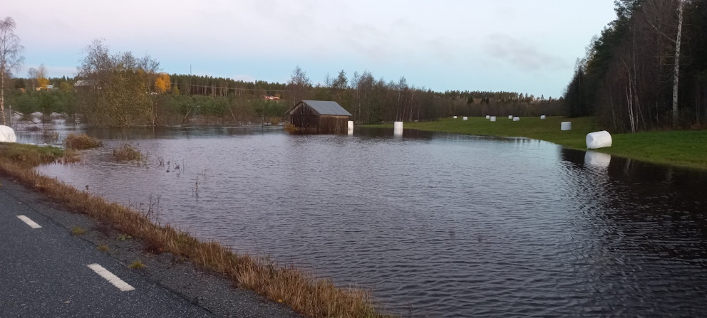 Dalsbäcken i Öden, Grundsunda har svämmat över. 