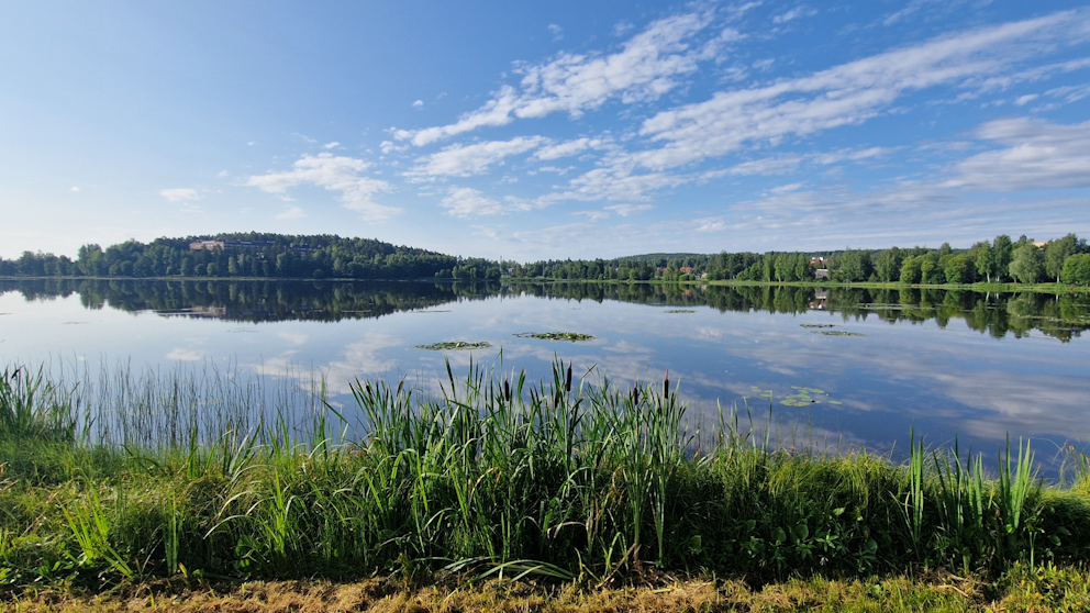 Falun, Dalarna den 31/7. Foto: Susanne Strand