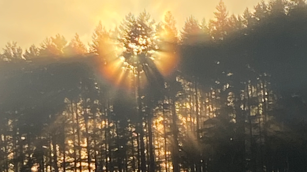 Forsvik, Västergötland den 20/9. Foto: Jan-Olof Säll