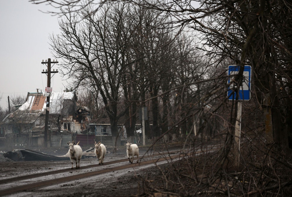 Senaste Nytt Om Kriget I Ukraina | SVT Nyheter