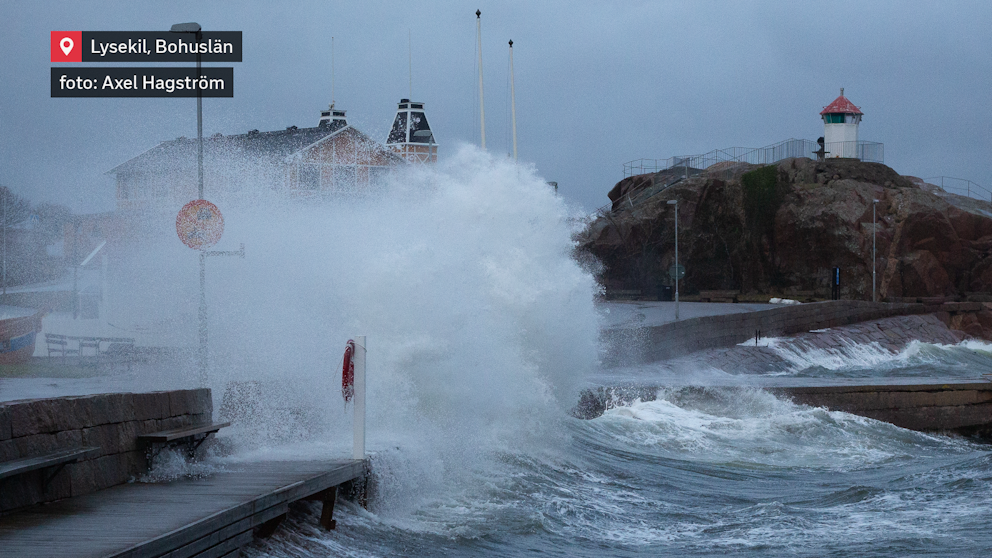 Kraftiga vågor slår mot kajen i Lysekil, Bohuslän, med vatten som skvätter högt i luften. I bakgrunden syns klippor, en fyr och byggnader mot en mulen himmel. Bild av Axel Hagström.