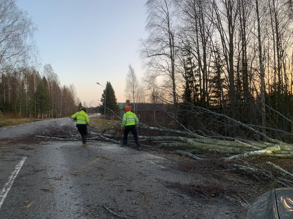 Varning för fallande träd och höga flöden | SVT Nyheter