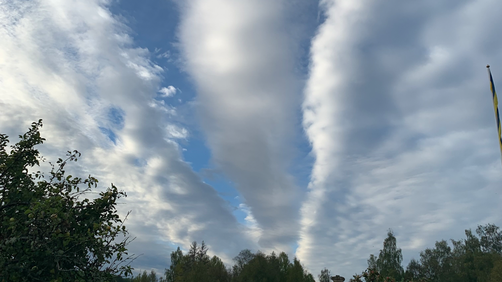 Norrlövsta, Uppland den 13/9. Foto: Krister Håkansson