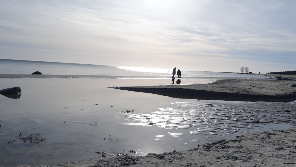 Bjärby, Öland den 2/3. Foto: Åsa Uhnell