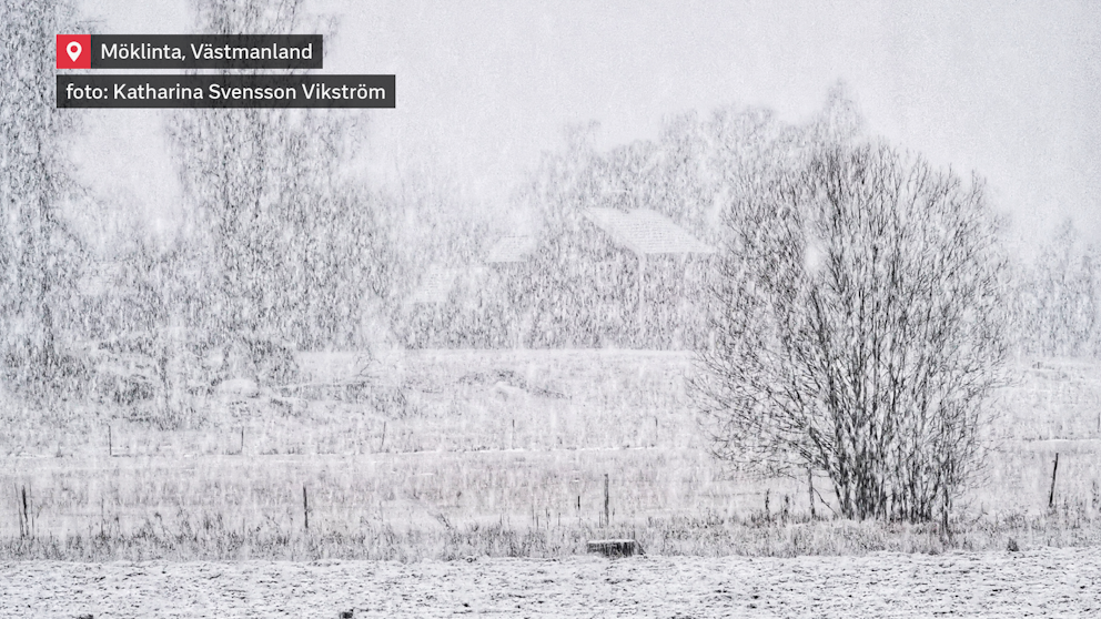 Kraftigt snöfall i lantlig miljö.