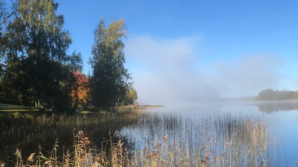 Linghed, Dalarna den 30/9. Foto: Ronnie Lingsjö