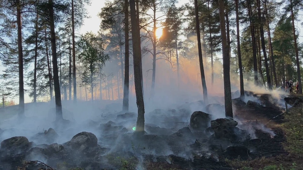 skogsbrand i Norberg. Mycket rök och nedbrunna träd. 