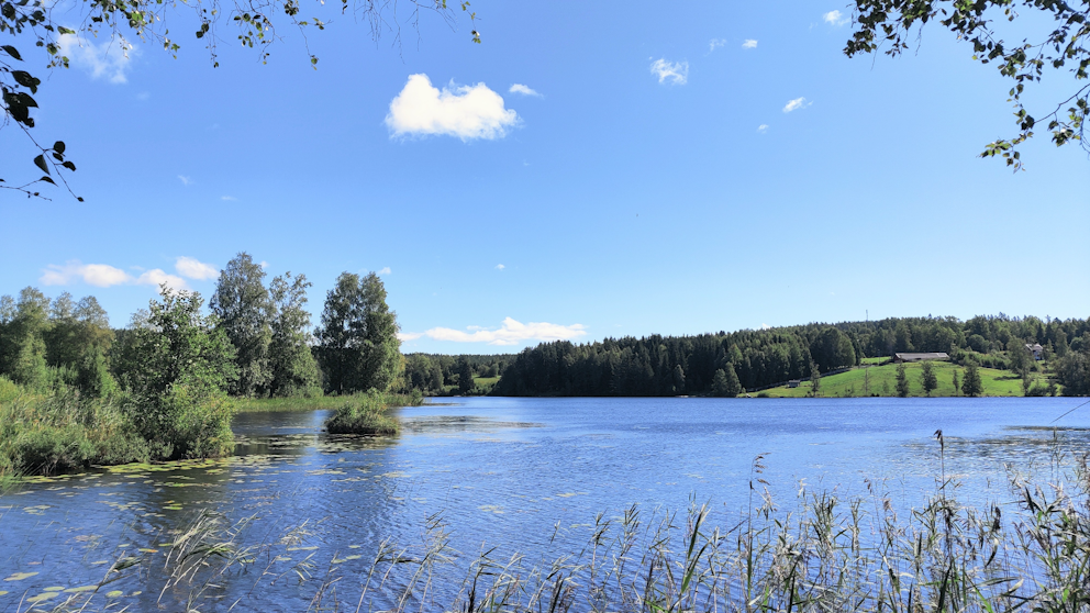 Ludvika, Dalarna den 12/8. Foto: Anita Andresen