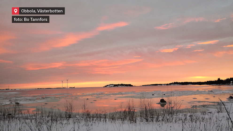 Rosaskimrande moln när solen går ner över Västerbotten.