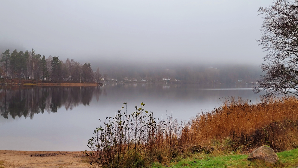 Borås, Västergötland den 11/11. Foto: Anne-Liis Bergendal