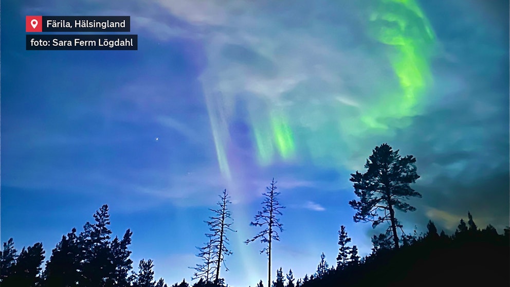 Overkligt vackert Norrsken över Vallåsen, Färila, Hälsingland den 25/9. Foto: Sara Ferm Lögdahl