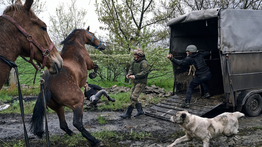 Senaste Nytt Om Kriget I Ukraina | SVT Nyheter