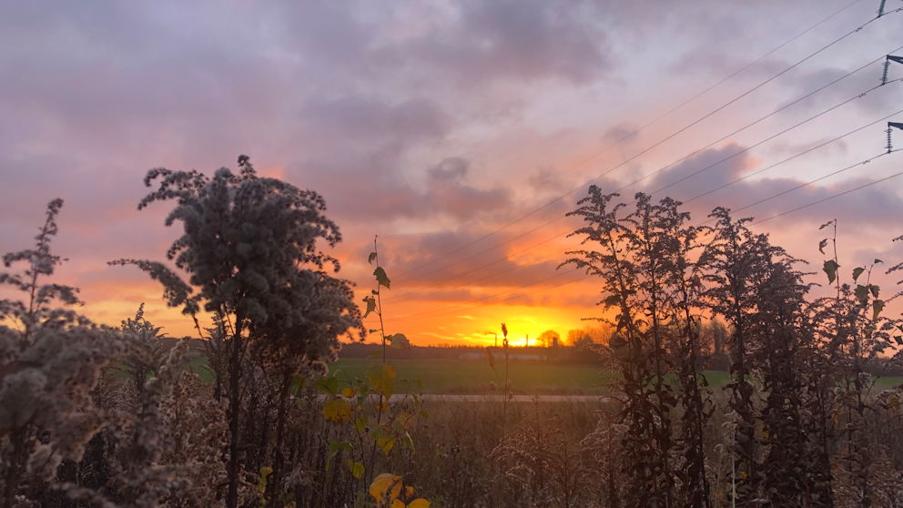 Smedsby, Östergötland den 29/10. Foto: Eija Lövgren