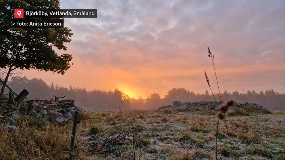 Frostnupen morgon i Småland.