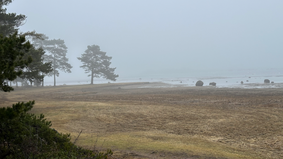 Oknö, Småland den 25/2. Foto: Anne Beinsen