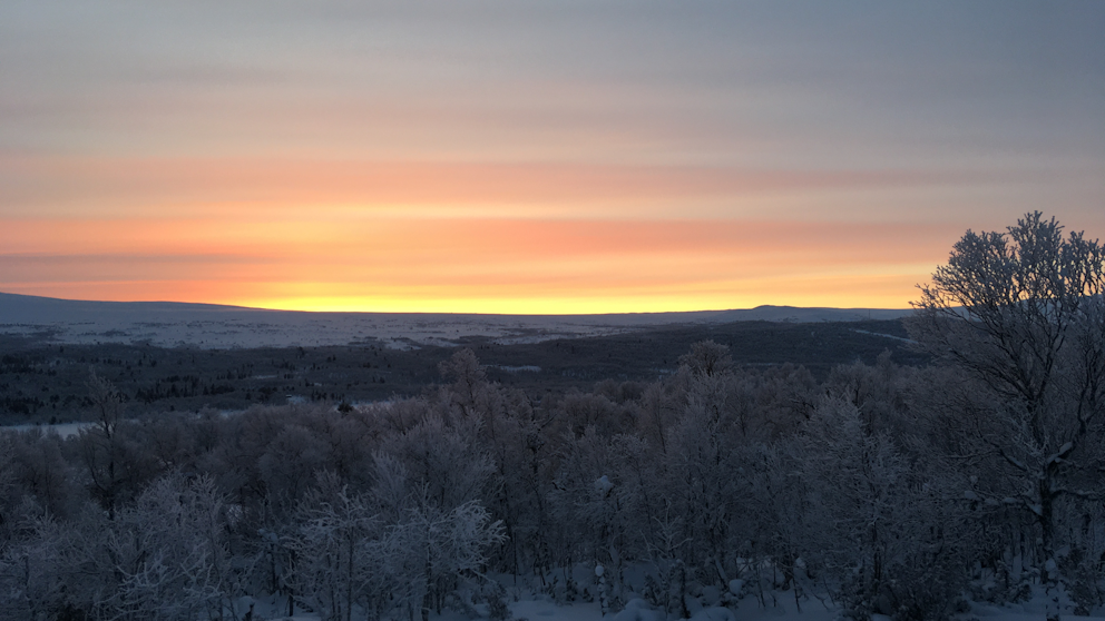 Tittarbilder december 2023 | SVT Nyheter