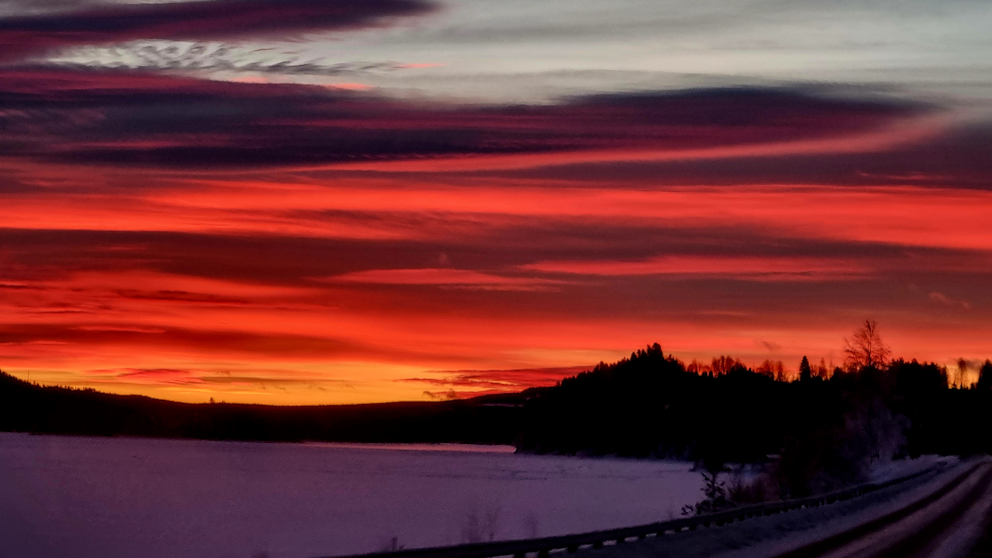 Särnaheden, Dalarna den 29/12. Foto: Ingrid Eriksson