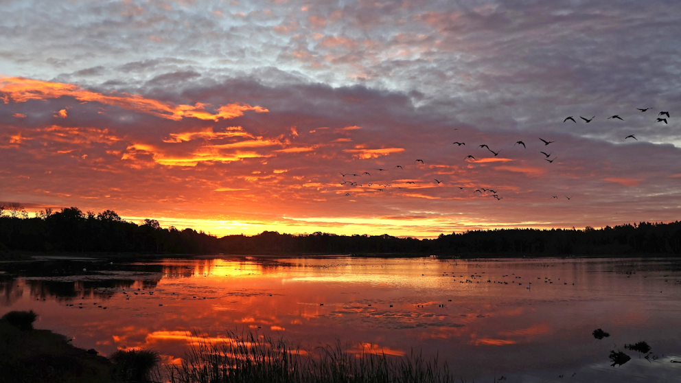 Rosenkällasjön, Linköping, Östergötland den 30/9. Foto: Per Lindroth