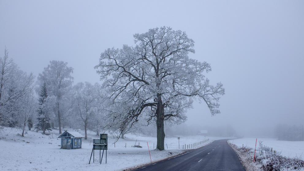 Intill 25:an i Ljungby, Småland den 4/2. Foto: Göran Åhlander