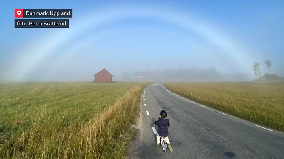 Dimbåge utanför Danmark strax söder om Uppsala i Uppland den 19 september. Foto Petra Bratterud