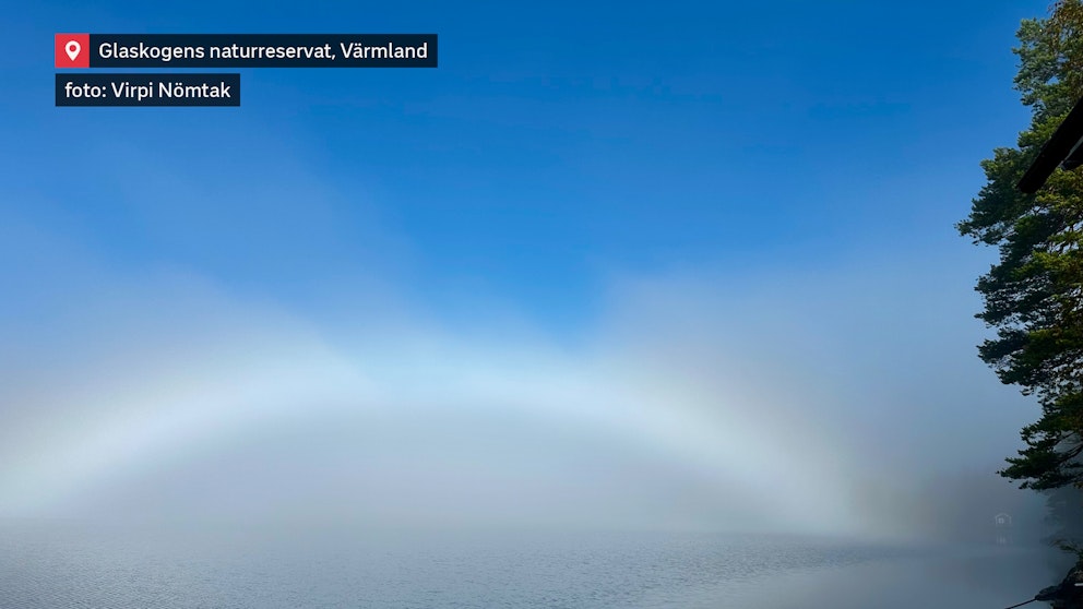 Dimbåge över sjön Övre Gla i Glaskogens naturreservat sydväst om Arvika i Värmland den 19 september. Foto Virpi Nömtak