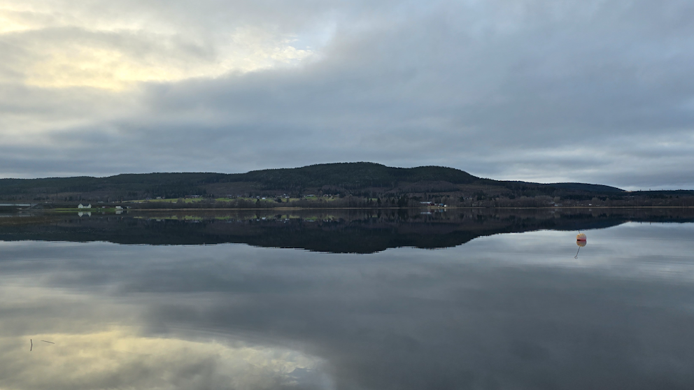 Örnsköldsvik, Ångermanland den 11/11. Foto: Marlene Vestberg