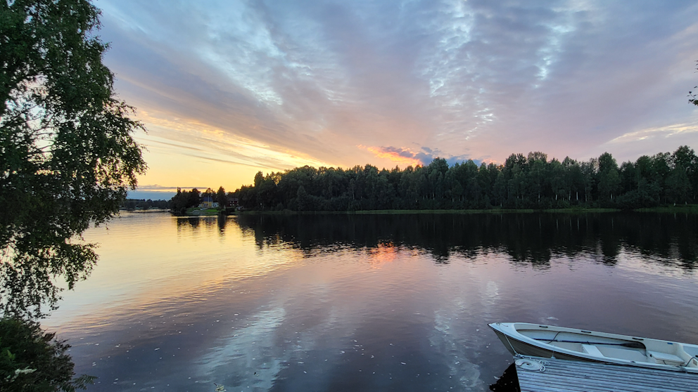 Stackgrönnan, Västerbotten den 30/7. Foto: Carin Feldt