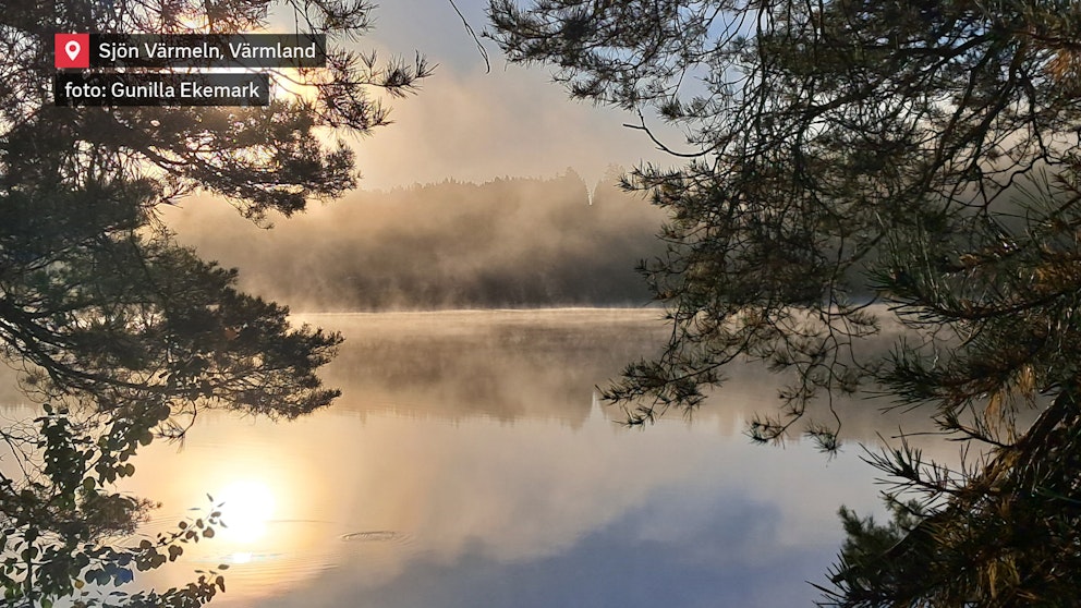 Morgondimma vid sjön Värmeln, Värmland den 26/9. Foto: Gunilla Ekemark