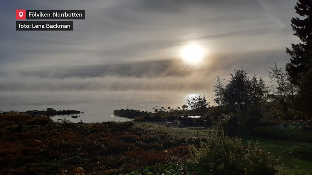 Gråmysig höstmorgon