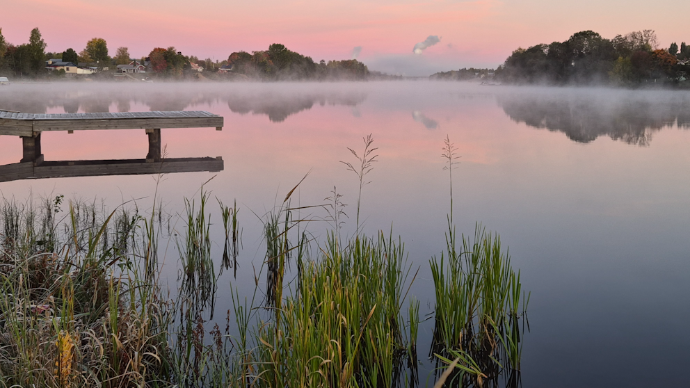 Borlänge, Dalarna den 30/9. Foto: Gunilla Ågren Håll