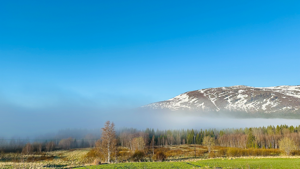 Dimma ligger lågt över skogsbrynet framför ett snötäckt fjäll under en klarblå himmel.